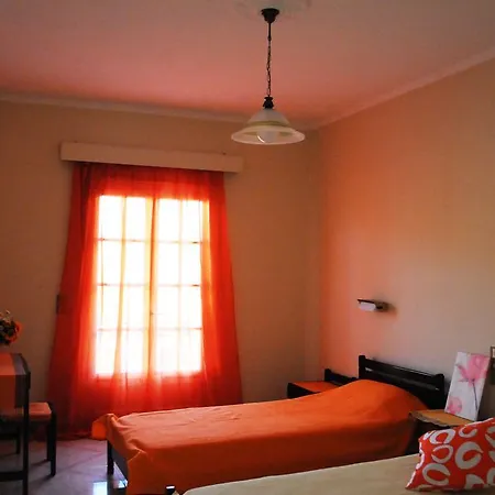 فيكيز غاردن *