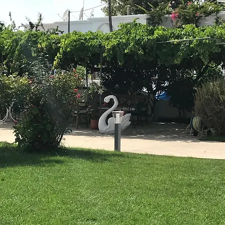 Vicky's Garden Apartament